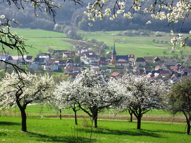 Lohndorf bl�ht